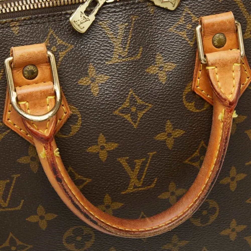 Louis Vuitton Alma PM Handbag